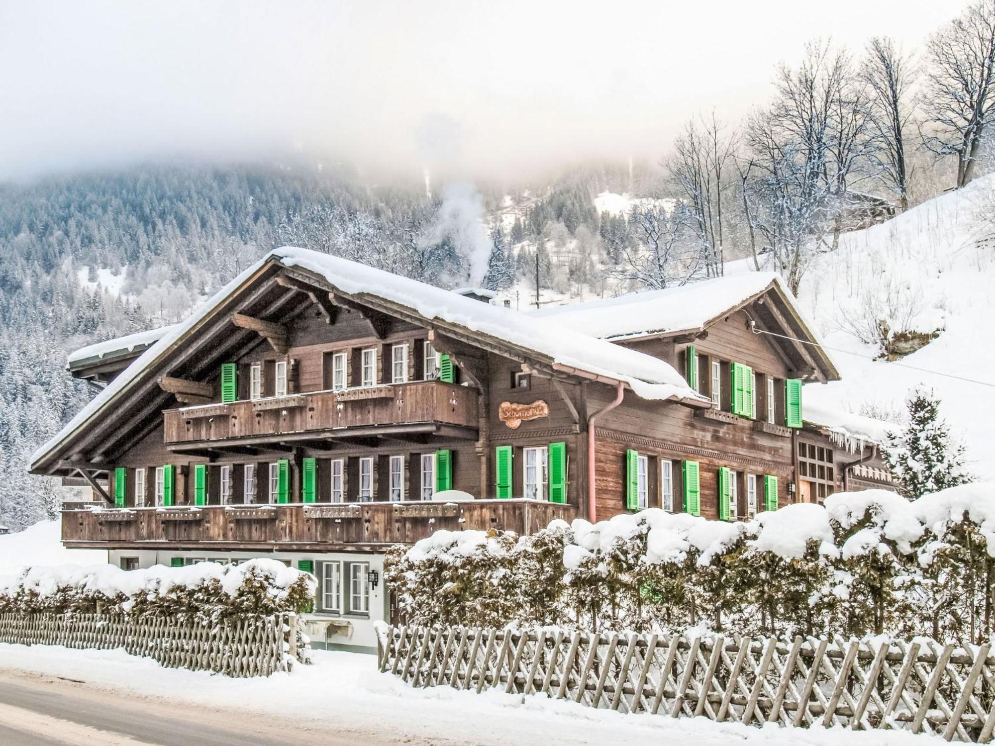 Apartment Chalet Schwendihus-6 By Interhome 格林德瓦 外观 照片