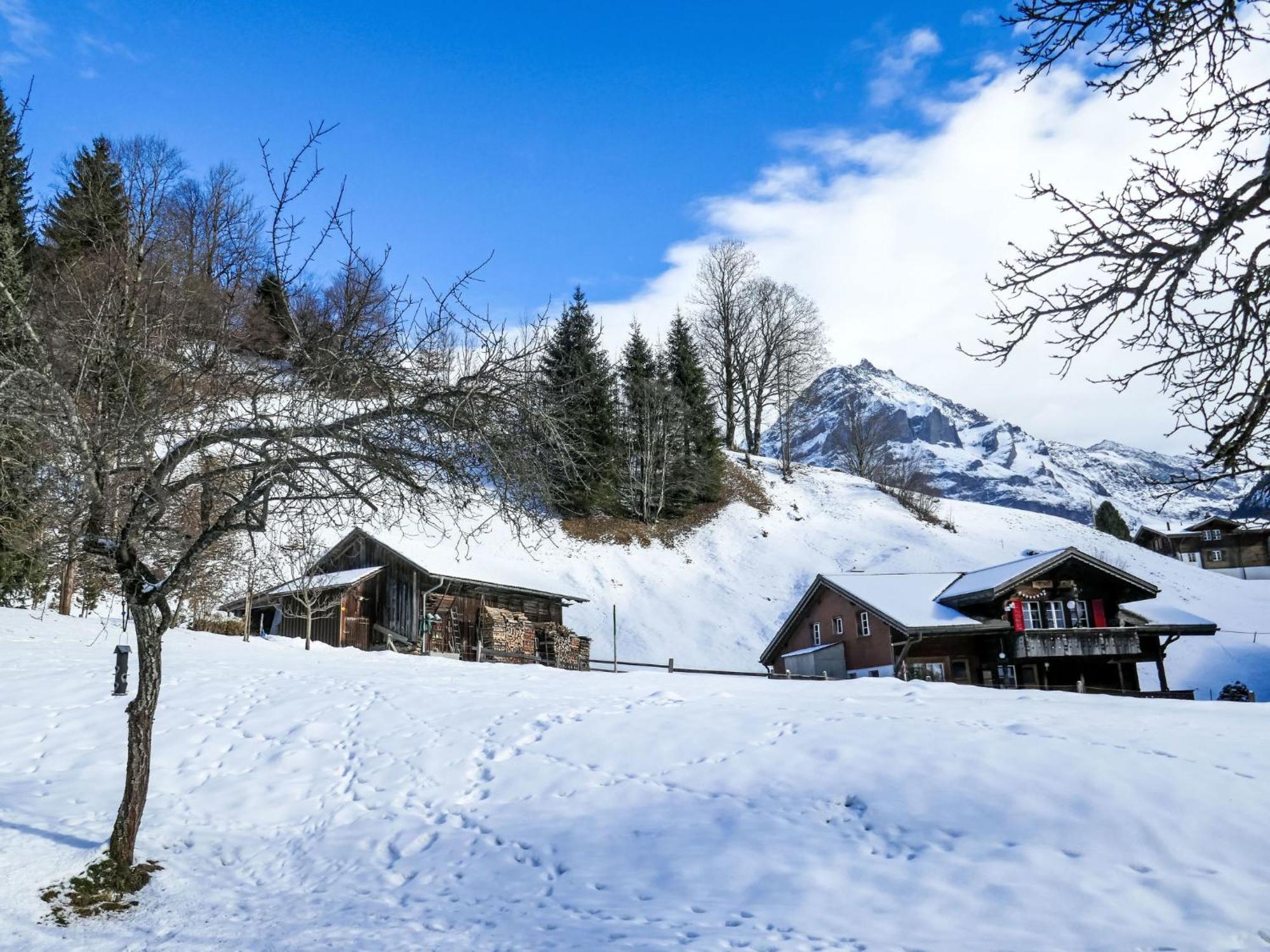 Apartment Chalet Schwendihus-6 By Interhome 格林德瓦 外观 照片